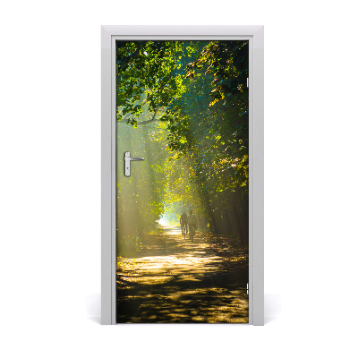 Fototapeta na dveře stezka v lese