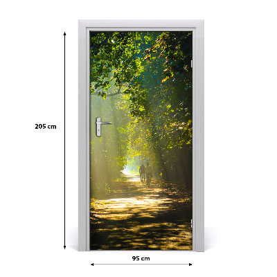 Fototapeta na dveře stezka v lese
