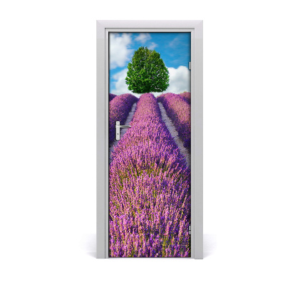 Fototapeta na dveře pole levandule
