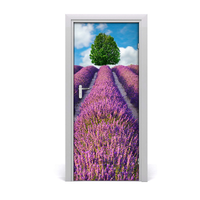 Fototapeta na dveře pole levandule