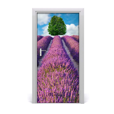 Fototapeta na dveře pole levandule