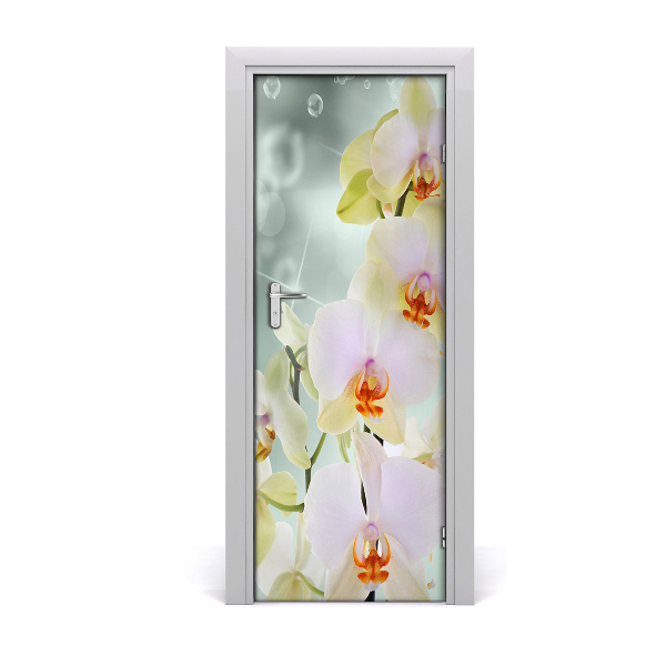 Fototapeta samolepící Orchidej