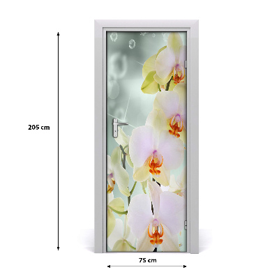 Fototapeta samolepící Orchidej
