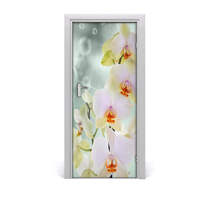 Fototapeta samolepící Orchidej