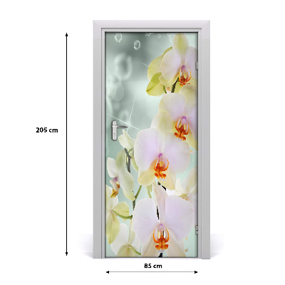 Fototapeta samolepící Orchidej