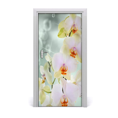 Fototapeta samolepící Orchidej
