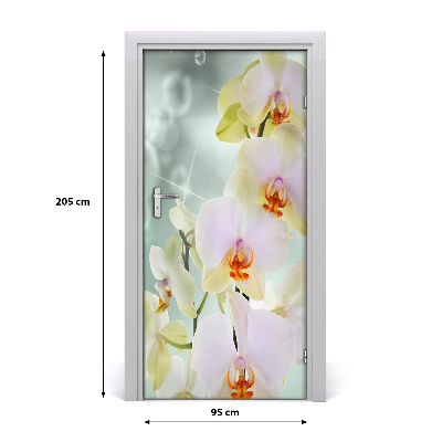 Fototapeta samolepící Orchidej