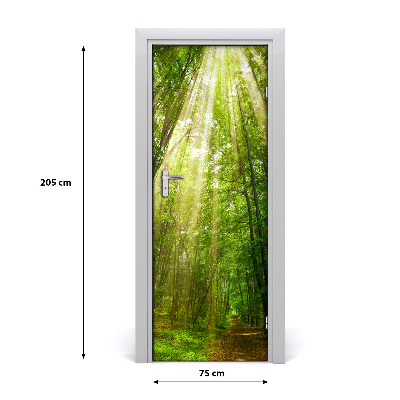 Fototapeta na dveře stezka v lese