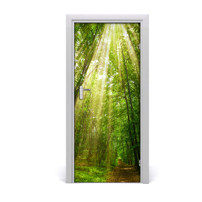 Fototapeta na dveře stezka v lese