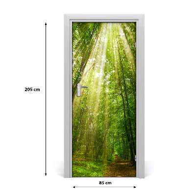 Fototapeta na dveře stezka v lese
