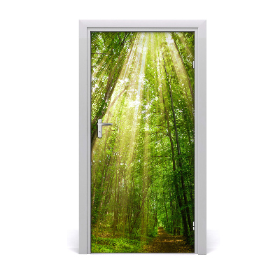 Fototapeta na dveře stezka v lese