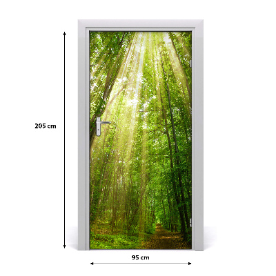 Fototapeta na dveře stezka v lese