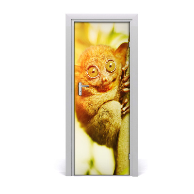 Samolepící fototapeta na dveře Nártoun celebeský