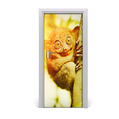 Samolepící fototapeta na dveře Nártoun celebeský
