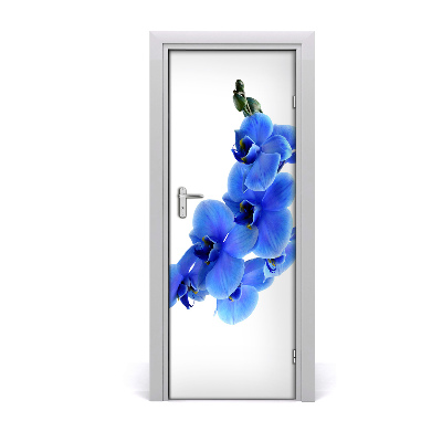 Fototapeta samolepící modrá Orchidejo