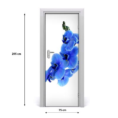 Fototapeta samolepící modrá Orchidejo
