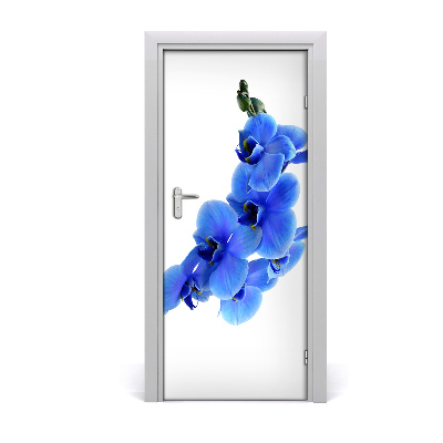 Fototapeta samolepící modrá Orchidejo