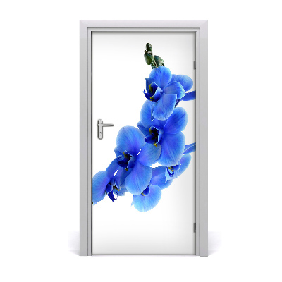 Fototapeta samolepící modrá Orchidejo