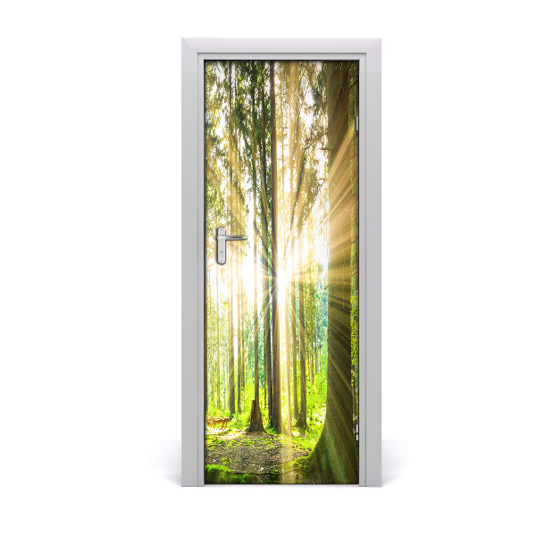 Fototapeta na dveře slunce v lese
