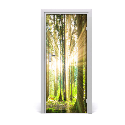 Fototapeta na dveře slunce v lese