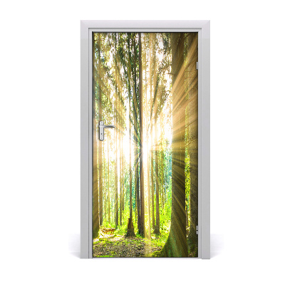 Fototapeta na dveře slunce v lese