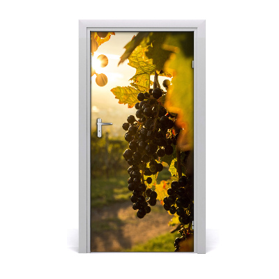 Fototapeta na dveře vinnice