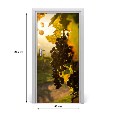 Fototapeta na dveře vinnice