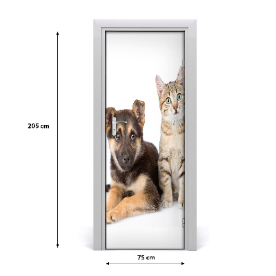 Samolepící fototapeta na dveře Pes a kočka