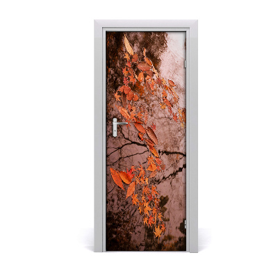 Fototapeta samolepící podzimní listí