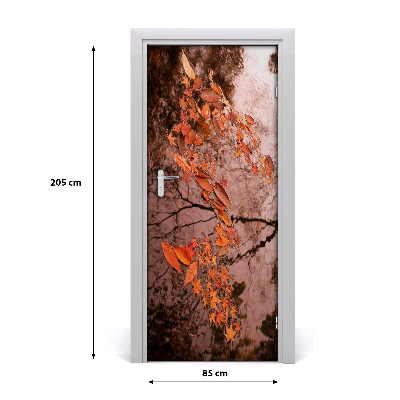 Fototapeta samolepící podzimní listí