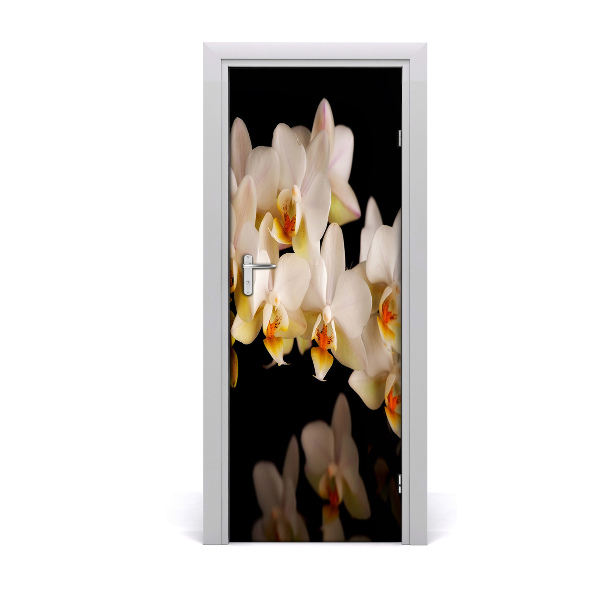 Fototapeta samolepící Orchidej