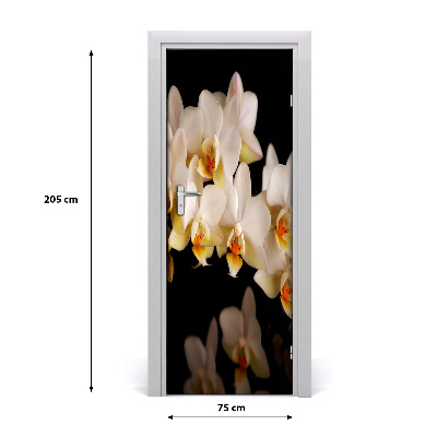 Fototapeta samolepící Orchidej
