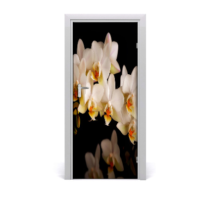 Fototapeta samolepící Orchidej