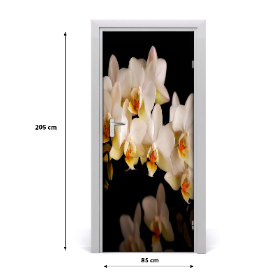 Fototapeta samolepící Orchidej