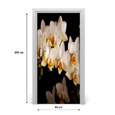 Fototapeta samolepící Orchidej