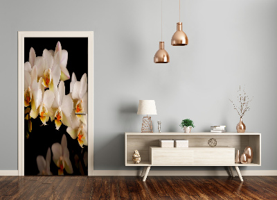 Fototapeta samolepící Orchidej