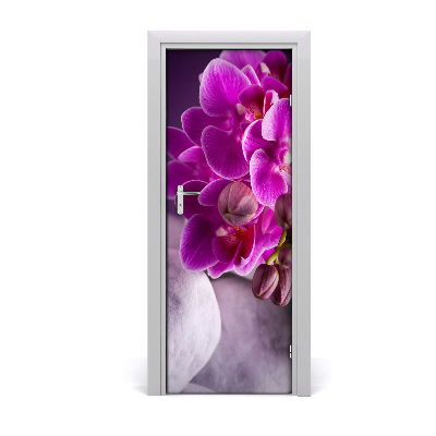 Fototapeta samolepící Růžová orchidej