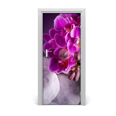 Fototapeta samolepící Růžová orchidej