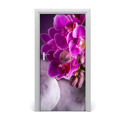 Fototapeta samolepící Růžová orchidej