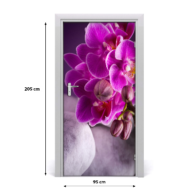 Fototapeta samolepící Růžová orchidej