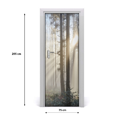 Fototapeta na dveře mlha v lese