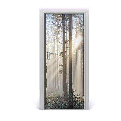 Fototapeta na dveře mlha v lese