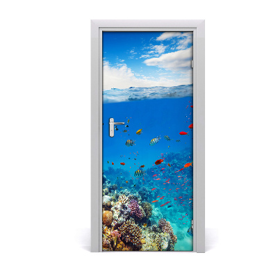Fototapeta na dveře korálový útes