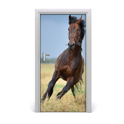 Samolepící fototapeta na dveře Kůň na poli