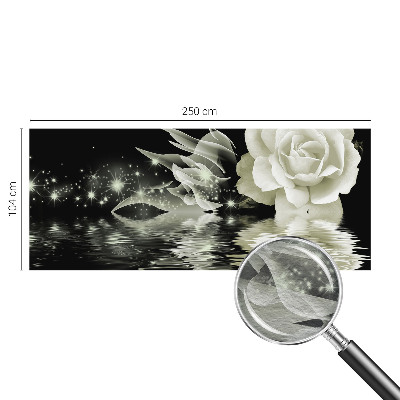 Fototapeta do ložnice Zářící růže