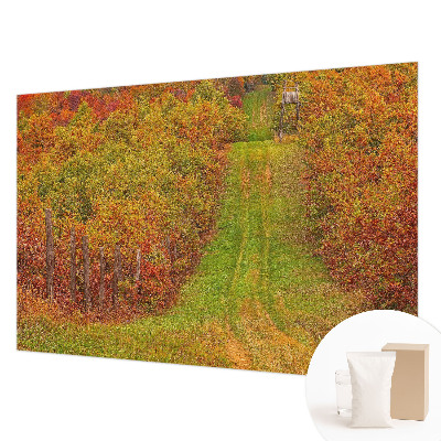 3D fototapeta Podzimní barvy
