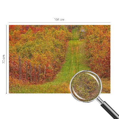 3D fototapeta Podzimní barvy
