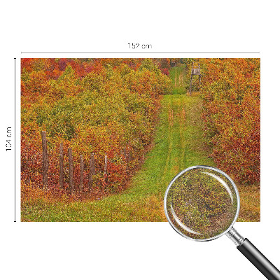 3D fototapeta Podzimní barvy