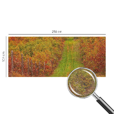 3D fototapeta Podzimní barvy
