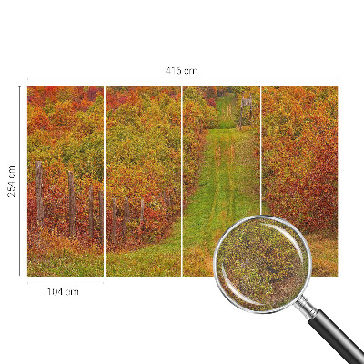 3D fototapeta Podzimní barvy